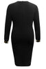 Plus Size Leopard Round Neck Long Sleeve Dress