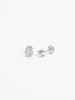 925 Sterling Silver Zircon Star Stud Earrings