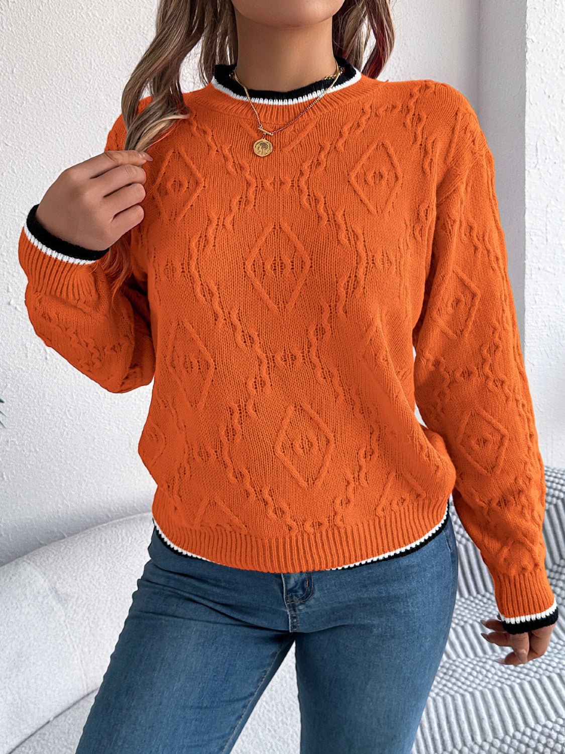 Contrast Trim Round Neck Long Sleeve Sweater